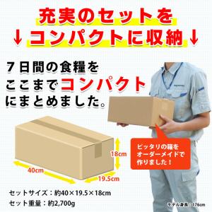 非常食 防災食 保存食 セット アルファ米 パ...の詳細画像3