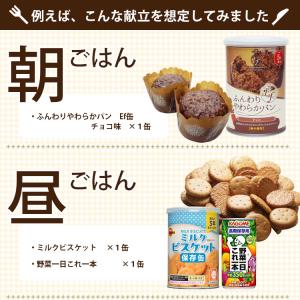 非常食 セット ワンデイセットONE-DAY ...の詳細画像3