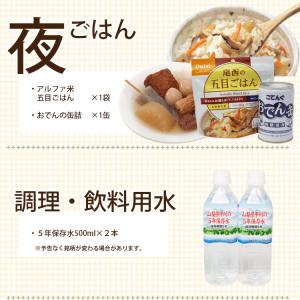 非常食 セット ワンデイセットONE-DAY ...の詳細画像4