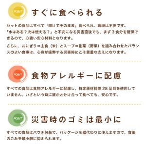非常食セット 簡単スグごはん 3食セット 1日...の詳細画像3