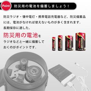 アルカリ乾電池 単3形 4本パック 防災用 1...の詳細画像2