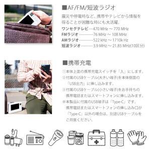 非常用 ワンセグ ラジオ エコラジネオ TLM...の詳細画像3