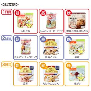 7日間 21食分 非常食セット 5年保存 | ...の詳細画像3