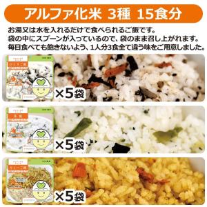 非常食 セットB 5人用 3日分(45食)(家...の詳細画像5