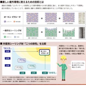 まとめ買い オートン イクシード カートリッジ...の詳細画像4