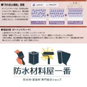 まとめ買い オートン イクシード カートリッジ...の詳細画像5