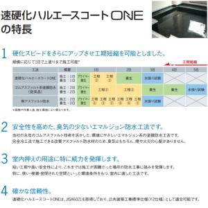 速硬化ONE硬化剤 イーテック 0.25kg×...の詳細画像1
