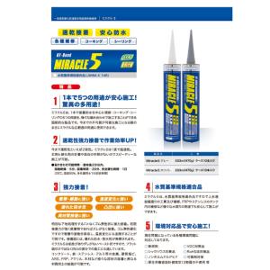 ミラクル5 Miracle5 ヘルメチック 3...の詳細画像4
