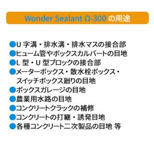ヘルメチック ワンダーシーラント Ω-300 ...の詳細画像4