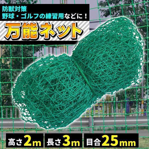 ネット 万能ネット 2m×3m 目合25mm アニマルネット 網 防獣ネット防鳥ネット 練習用