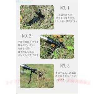 草取り 立ったまま 草抜き 手動 道具 除草 ...の詳細画像4