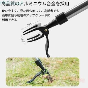 草取り 立ったまま 草抜き 手動 道具 除草 ...の詳細画像5