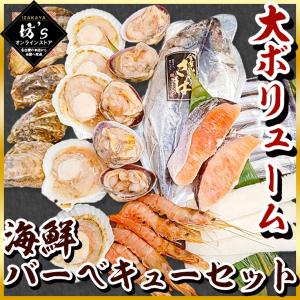 【送料無料】大ボリューム海鮮バーベキューセット（8種30品）大あさり・片貝ホタテ・殻付き牡蠣など【BBQ/海の幸/海鮮/魚介/大容量/お祝い】