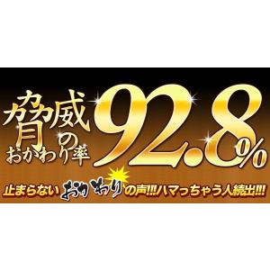 【セット商品同梱限定品】最後はコレで決まり!ち...の詳細画像1
