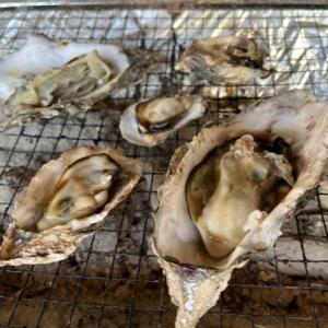 【送料無料】広島県産超特大牡蠣(1kg)プリプ...の詳細画像1