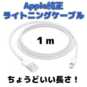 ライトニングケーブル Apple 純正 1m Lightning ポイント消化 USBケーブル iPhone iPad 充電 アップル アイフォン アイパッド MD818ZM/A｜Bow-wow Mart