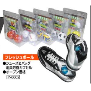 （ハイ・スポーツ） フレッシュボール