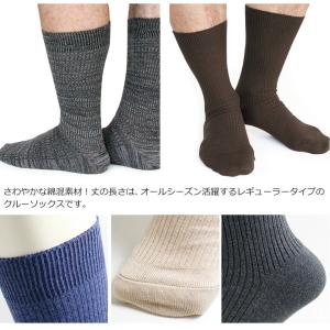 靴下 メンズ ソックス / カラーリブクルー丈...の詳細画像2