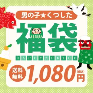 送料無料 福袋 男の子アイテムが15足も入った ボーイズ靴下福袋