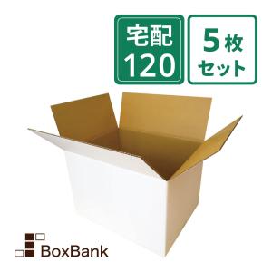 ダンボール 段ボール 白 120サイズ (46×35.5×32cm) 5枚セット 引っ越し ダンボール箱 120 展示 アート