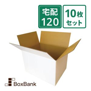 ボックスバンク ダンボール 段ボール 白 120サイズ (46×35.5×32cm) 20