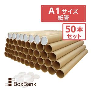ボックスバンク 紙管 紙筒 丸筒 筒（内径50× 590mm）キャップ付