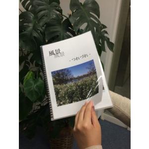 ラミネートフォトアルバム用穴あきラミネートフィルム補充用30枚