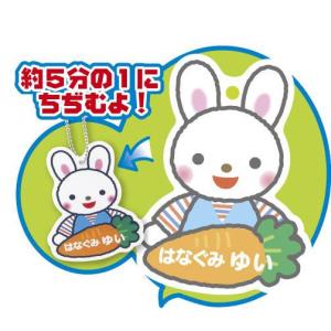 メール便対応 おうちで作れる プリントプラ板 ボ ルチェーン2本付 インクジェット専用 プラバン 工作 ネームプレート キーホルダー アルバムとママ雑貨の店オフィス31 通販 Yahoo ショッピング