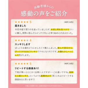 ダイエット茶 五葉茶ロイヤルビューティー 30...の詳細画像2