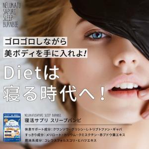 睡眠 ダイエット 送料無料 ビューティプランニング 寝活サプ...