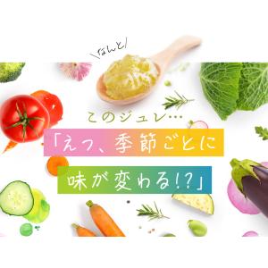 季節のフルーツ青汁ジュレ 15g×30包 青汁...の詳細画像4