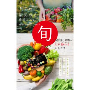 季節のフルーツ青汁ジュレ 15g×30包 青汁...の詳細画像5