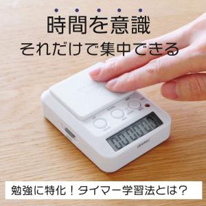 【ポスト投函便 同梱発送不可】ドリテック 学習...の詳細画像1