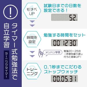 【ポスト投函便 同梱発送不可】ドリテック 学習...の詳細画像2