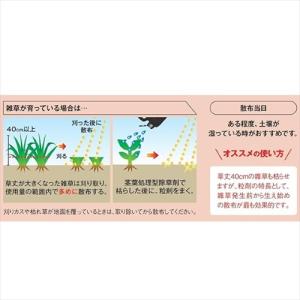 レインボー薬品 除草剤 ネコソギトップF粒剤 ...の詳細画像2