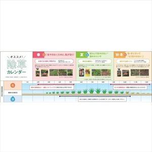 レインボー薬品 除草剤 ネコソギトップF粒剤 ...の詳細画像3