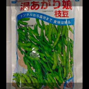 カネコ種苗 枝豆 エダマメ 湯あがり娘 200...の詳細画像2