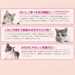 猫ちゃんの国産牛乳を使ったスープごはん ささみ...の詳細画像3