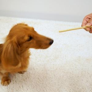 ドギースナックバリュー ミルク入りスティックガ...の詳細画像3