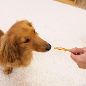 ドギースナックバリュー ササミディップガム 5本の詳細画像3