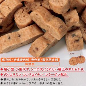 ドギーマンハヤシ 絹紗牛タン300g(100g...の詳細画像4