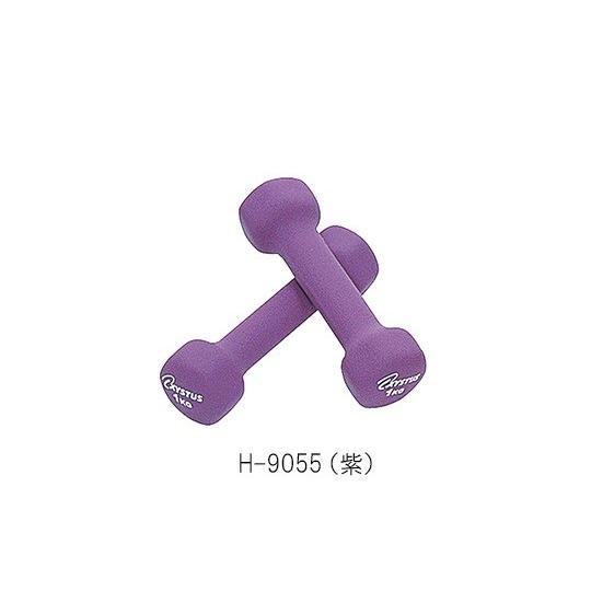 ラバーコートダンベル 1kg　H-9055（紫）4518891014120