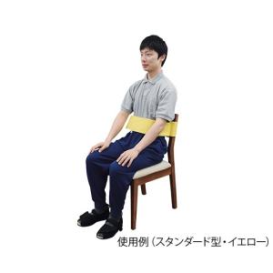 特殊衣料 トランスポートベルト スタンダード型 L イエロー 4521573013250