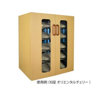 【法人様限定品 代引き不可 送料無料】東邦歯科産業　UVクリーン　エクセレント（殺菌スリッパ保管庫）　10足　ゼブラウッドライト 　　4571229646929｜bp-s