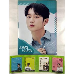 TradePlace チョン ヘイン Jung Hae In グッズ／A4 クリアファイル + 4
