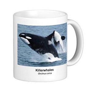 シャチのマグカップ：フォトマグ（世界の野生動物シリーズ）｜br-market