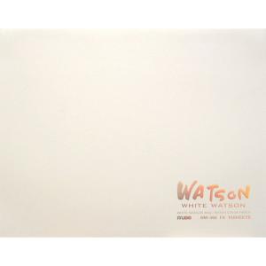 ミューズ 水彩紙 ホワイトワトソンブロック F4 300ｇ ホワイト 15枚入り HW-304 F4｜br-market