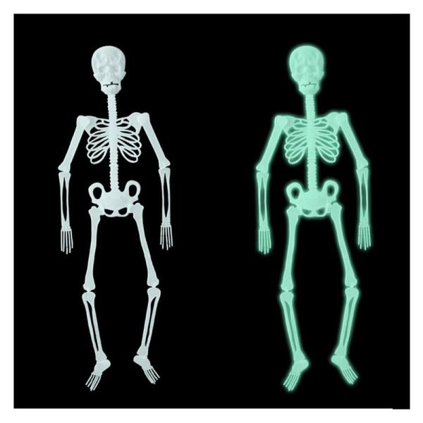 光る 骸骨 暗闇で光るガイコツ 人体 ハロウィン 飾り ドクロ 光る スカル 模型 人体 骨格 骸骨...
