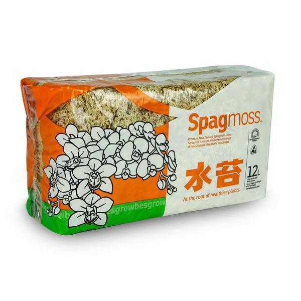 ジャパン蘭土 ニュージー産圧縮水苔ＡＡ 150g