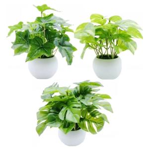 MedianField 観葉植物 光触媒 ミニ ...の商品画像